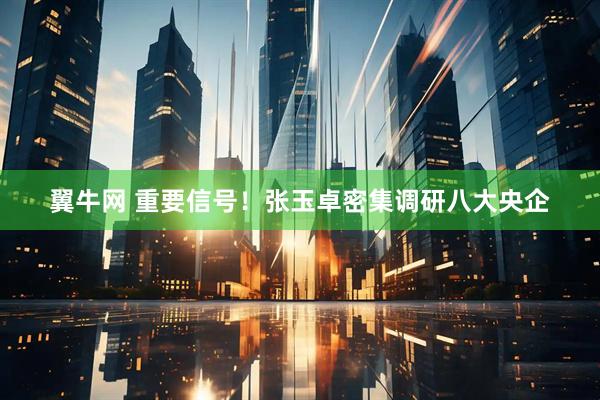 翼牛网 重要信号！张玉卓密集调研八大央企