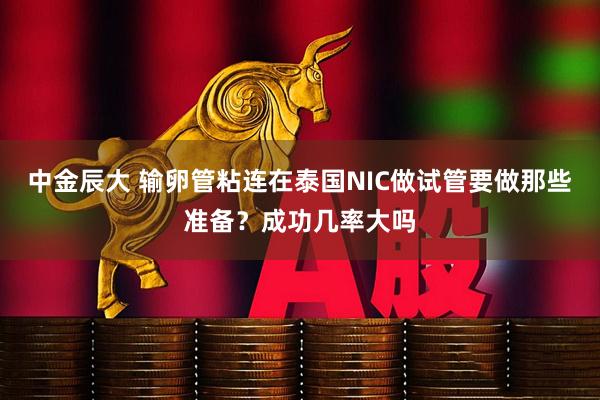 中金辰大 输卵管粘连在泰国NIC做试管要做那些准备？成功几率大吗